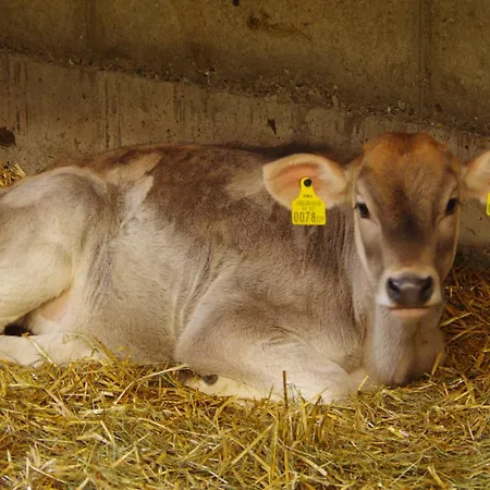 Biohaus - By Mynests * 恩斯塔尔豪斯